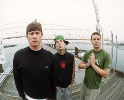newblink4.jpg